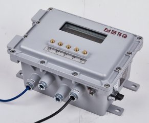 XK3150-Exd隔爆型防爆儀